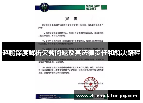 赵鹏深度解析欠薪问题及其法律责任和解决路径 赵鹏深度解析欠薪问题及其法律责任和解决路径