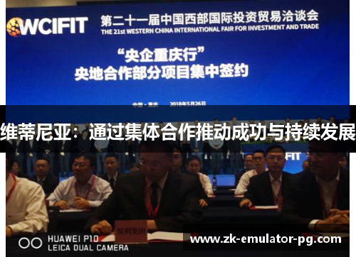 维蒂尼亚：通过集体合作推动成功与持续发展